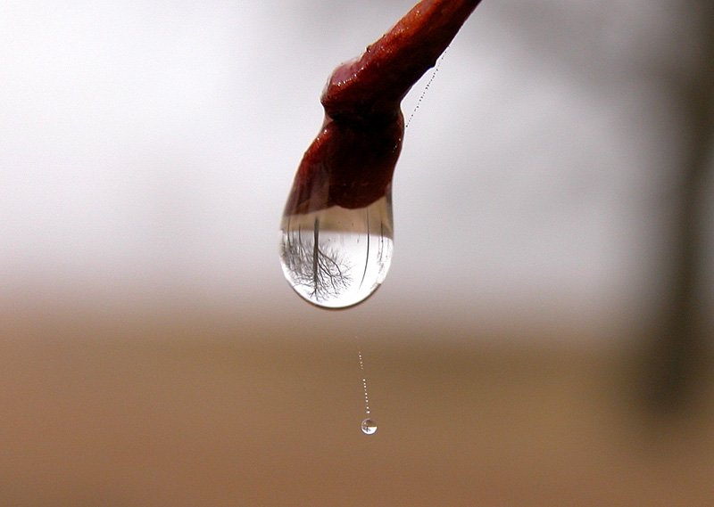 Physics 106 Lab Lenses and Mirrors