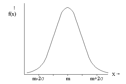 filler image