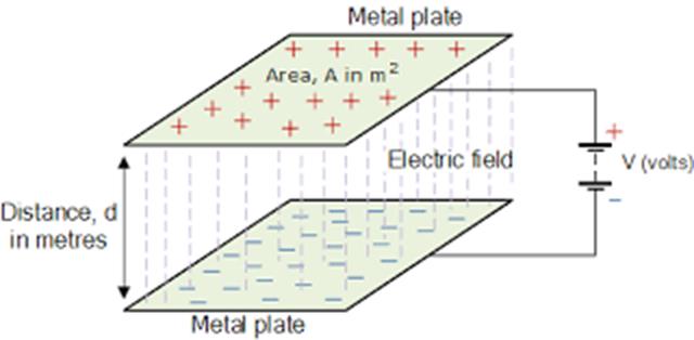 filler image